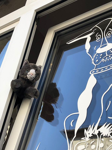 Kippfenstersyndrom Tierheim Aschaffenburg
