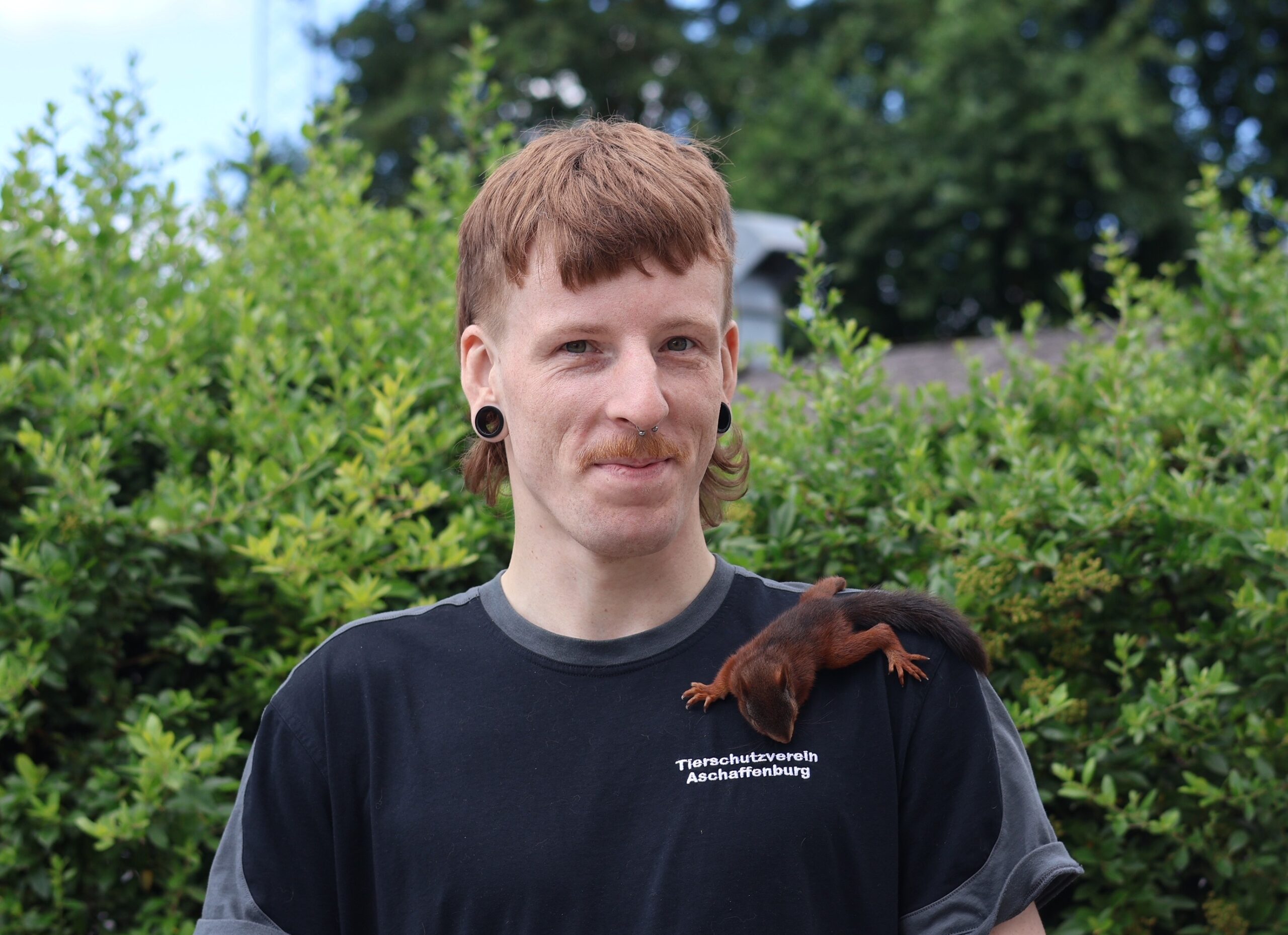 Dominik Glüber