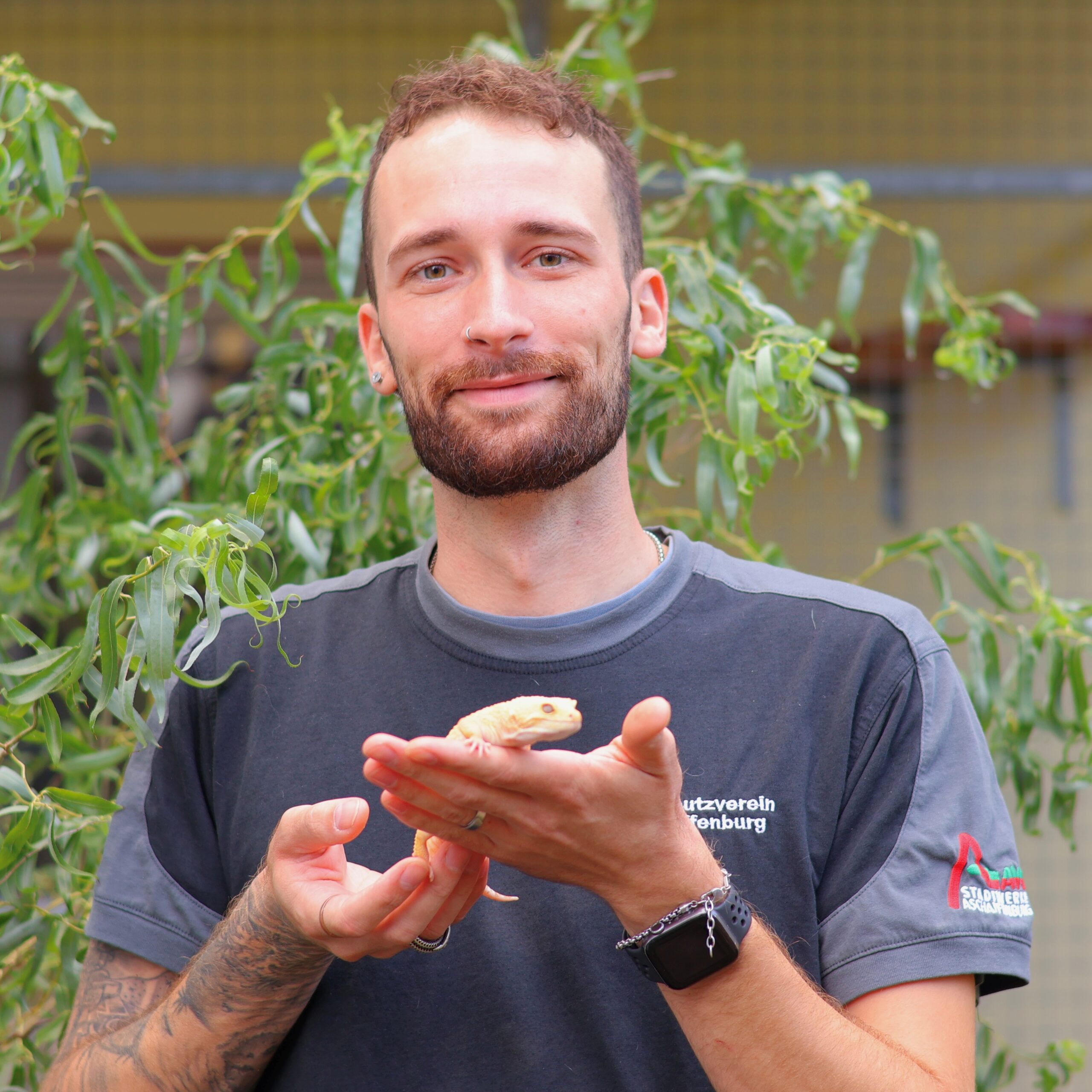 Lukas Kneisel