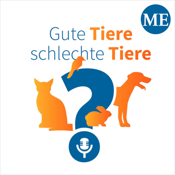 Gute Tiere – Schlechte Tiere? – Unsere Podcast-Serie über den Tierheimalltag