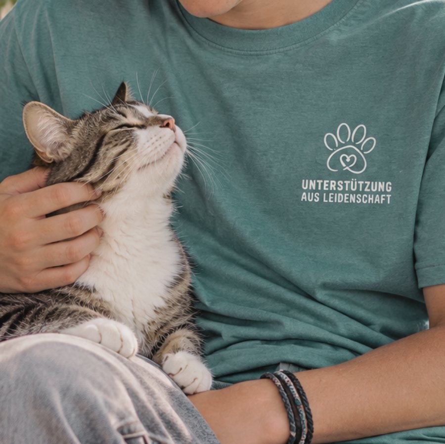 Katze kuschelt mit Person im Tierheim-T-Shirt in Dusty Blue